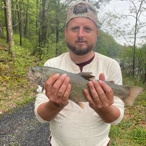 Meet your Posher, Chris